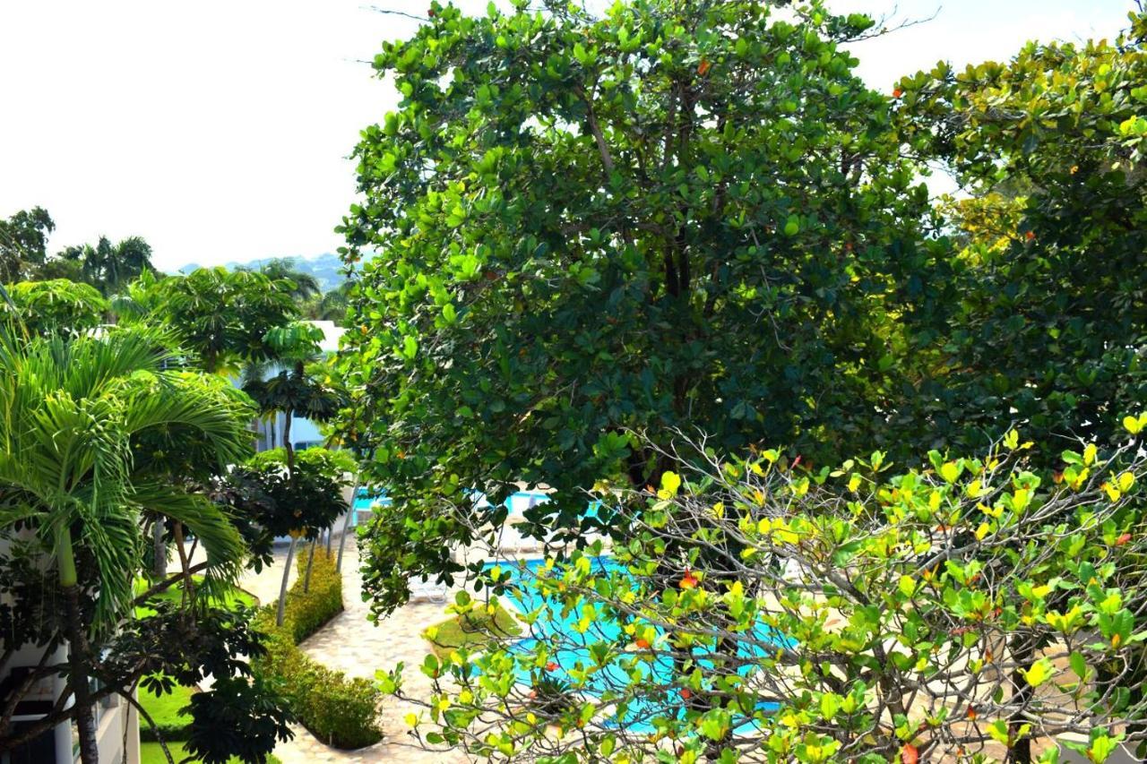 Tropical Casa Laguna Кабарете Экстерьер фото
